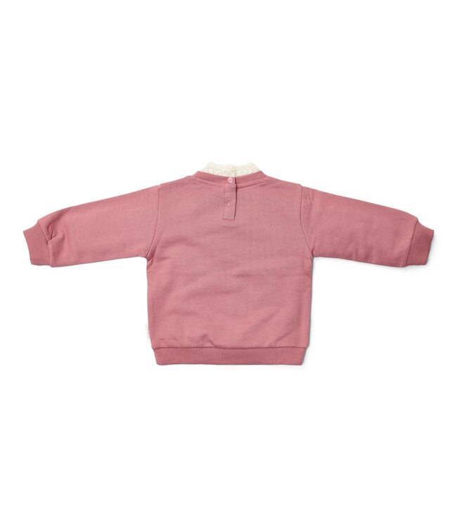 Little Dutch Trui Rouge CL250920 toddler forest friends