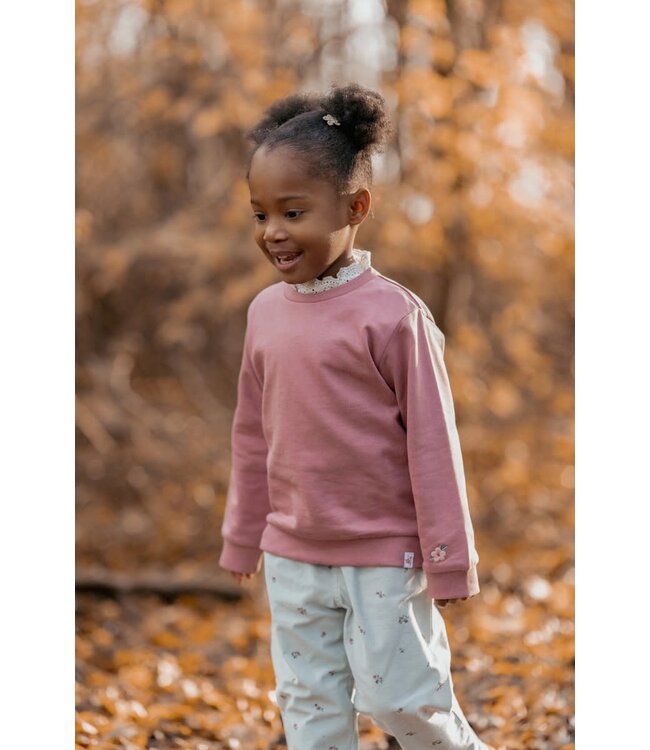 Little Dutch Trui Rouge CL250920 toddler forest friends