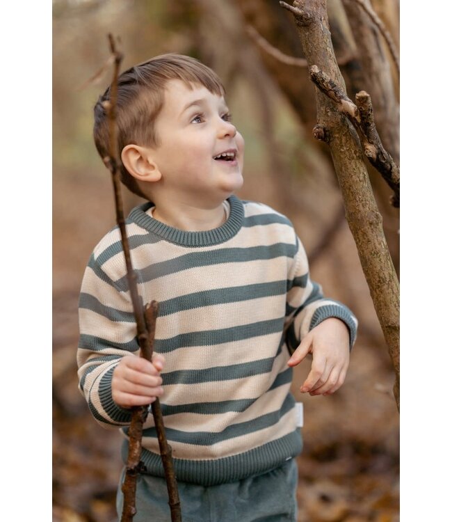 Little Dutch Knitted sweater balsam green CL250920