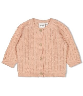 Feetje 51300539 Vestje gebreid - The Knits Roze