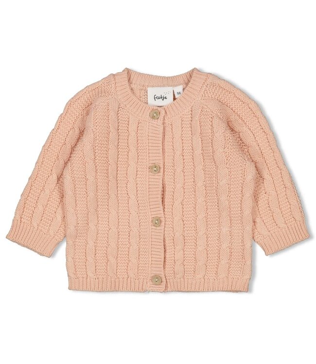 Feetje 51300539 Vestje gebreid - The Knits Roze