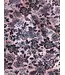 Name it mini NMFOALIA XSL LEGGING 13247962 Burnished Lilac