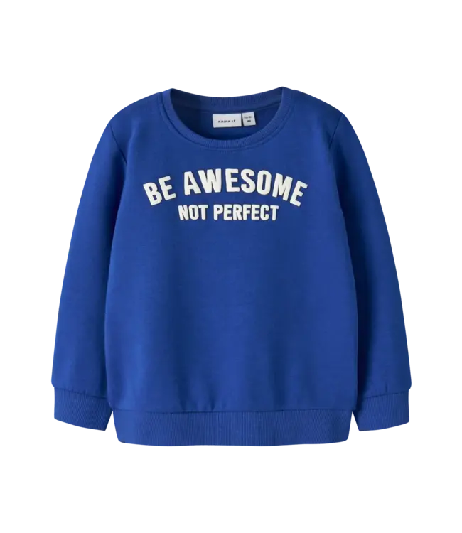 Name it mini NMMPTABIB SWEAT BRU 13242447 Surf the Web