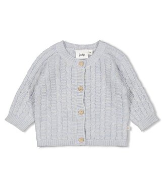 Feetje Vestje gebreid - The Knits Blue melange