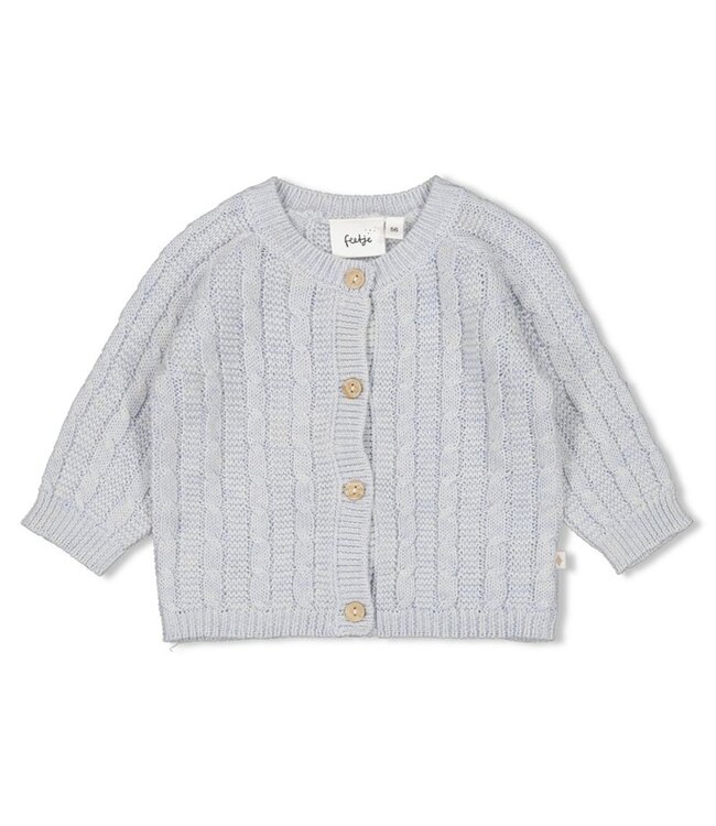 Feetje 51300538 Vestje gebreid - The Knits Blue melange