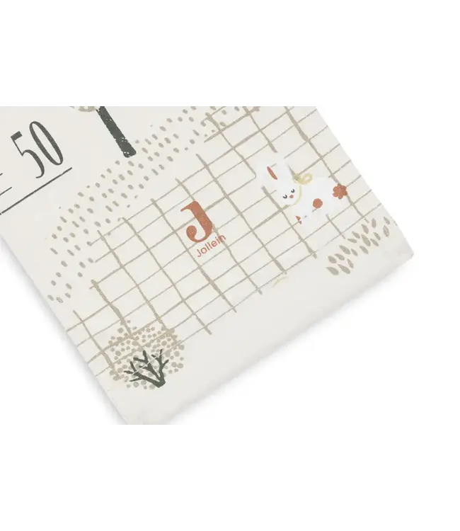 Jollein Groeimeter - Tiny Park