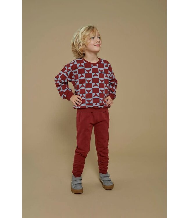 Sturdy 72200247 Broek - Waves and Whales Bordeaux
