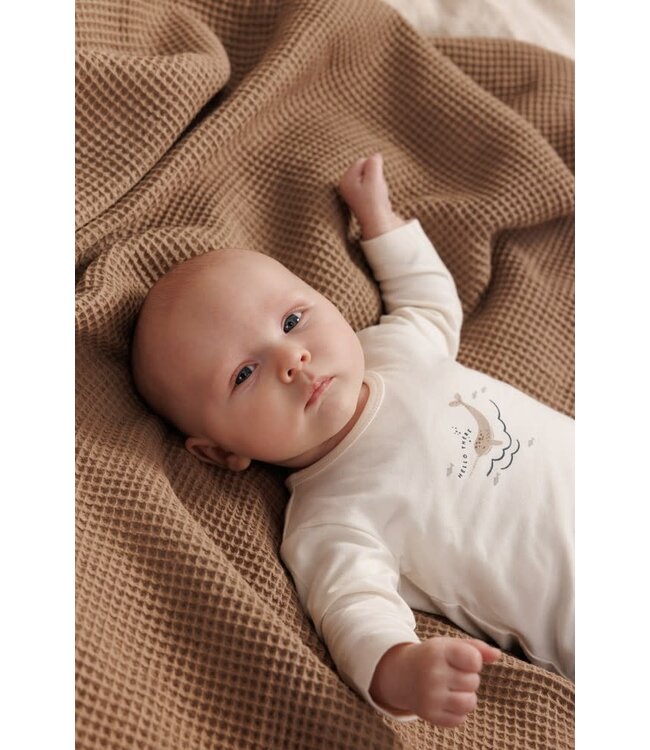 Feetje 51602587 Longsleeve - Narwal Offwhite