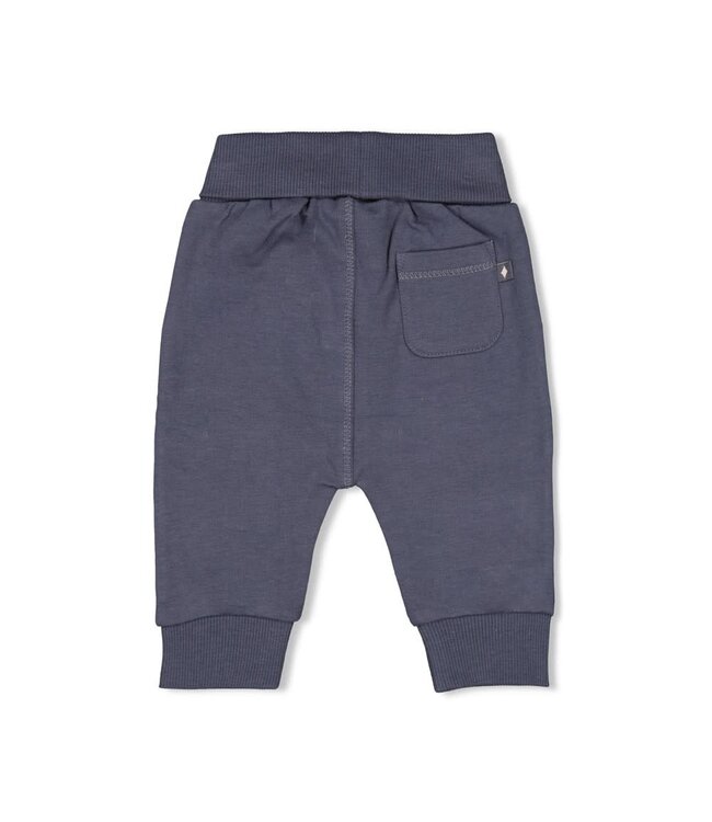 Feetje 52202392 Broek - Narwal Blauwgrijs