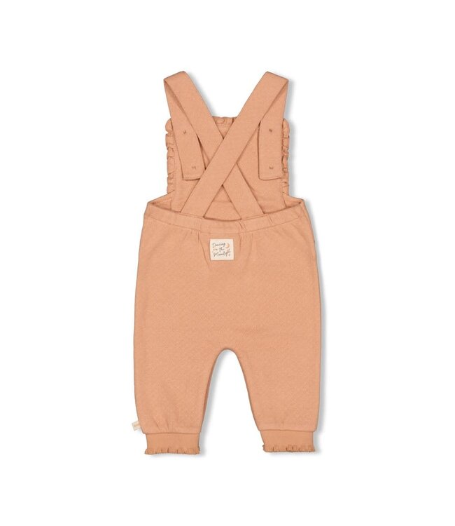 Feetje 52000129 Tuinbroek - Dancing In The Moonlight Terra Pink