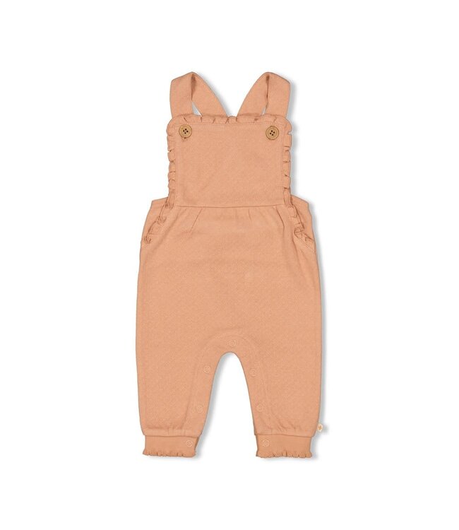 Feetje 52000129 Tuinbroek - Dancing In The Moonlight Terra Pink