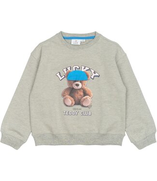 The New Adult Sweatshirt