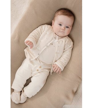 Little Dutch Little Goose omkeerbaar vestje