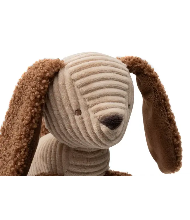 Jollein Wagenhanger - Diego Dog