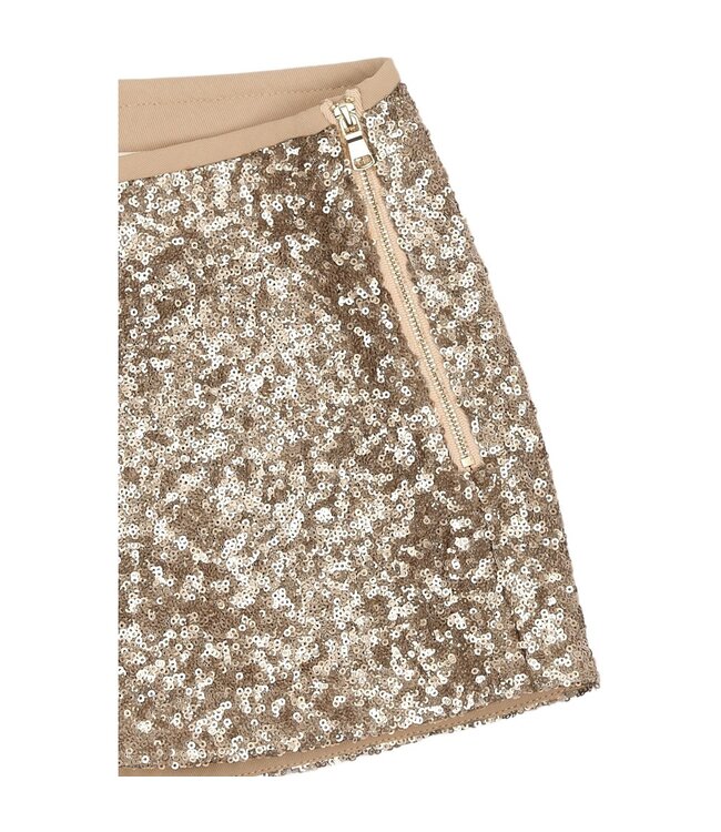 The New TNRupa Sequin Shorts - Gold