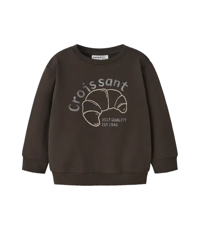 Name it mini NMMRICO LS Sweater regular fit delicioso