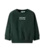 Name it mini NMMSLADE LS NREG SWEATER 13250423 Pine Grove