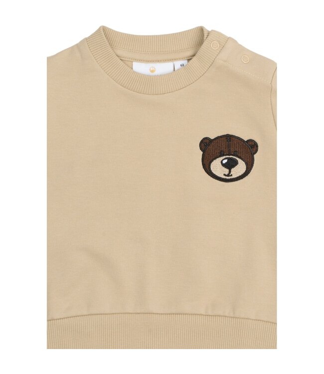 The New TNSBPhilbert Sweatshirt TNSB6416