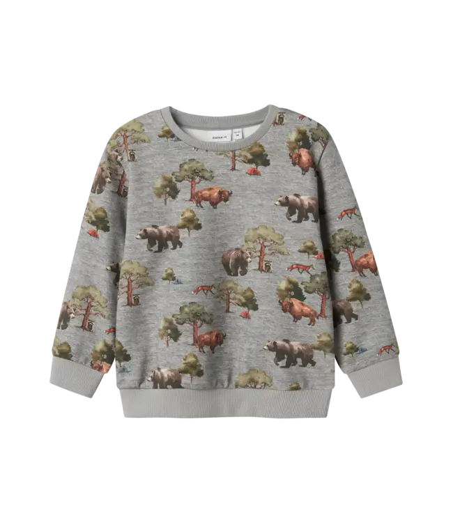 Name it mini 13247938 NMMOLIN LS NREG SWEAT