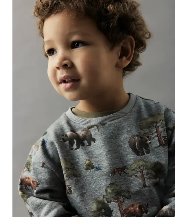 Name it mini 13247938 NMMOLIN LS NREG SWEAT