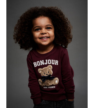 Name it mini Kindertrui Burgundy Teddy Beer