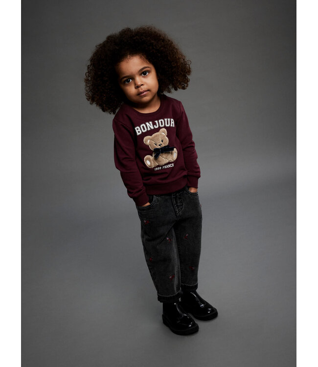 Name it mini NMFREAR LS SWEAT 13249320 Burgundy