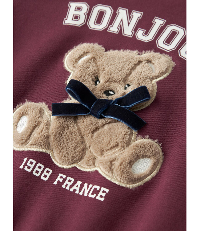 Name it mini NMFREAR LS SWEAT 13249320 Burgundy