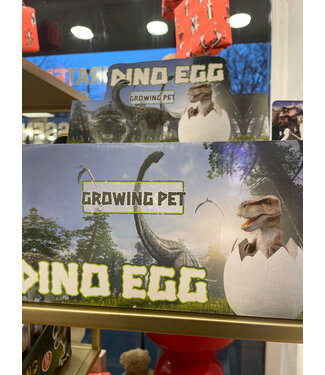 Piraten & Prinsessen mega groeiende dinosaurus in ei 24209