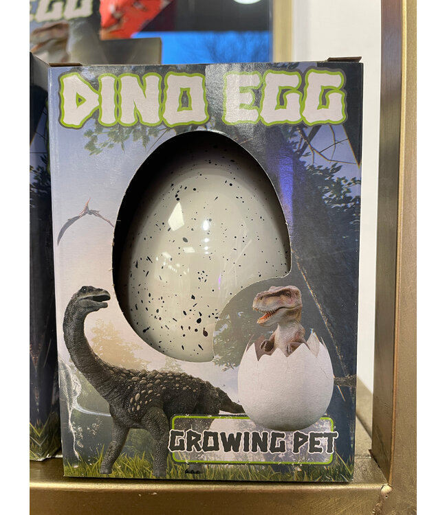 Piraten & Prinsessen mega groeiende dinosaurus in ei 24209
