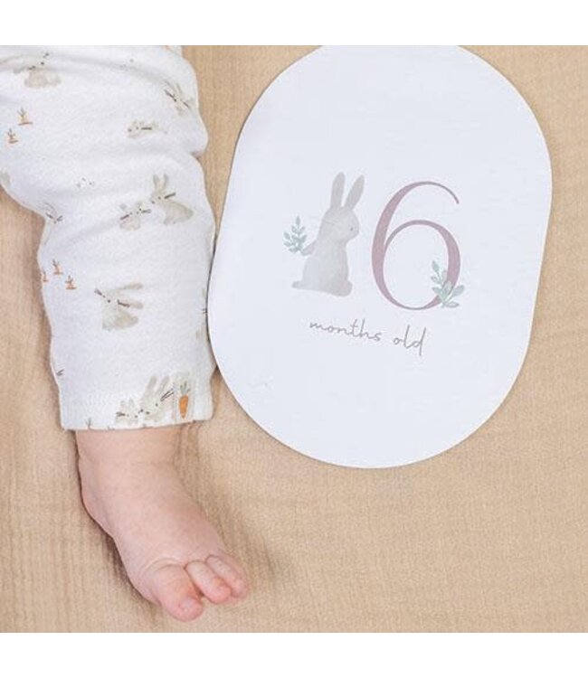 Jollein Mijlpaal kaarten - Beige - Baby Bunny - EN