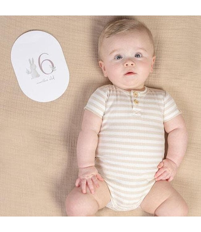 Jollein Mijlpaal kaarten - Beige - Baby Bunny - EN