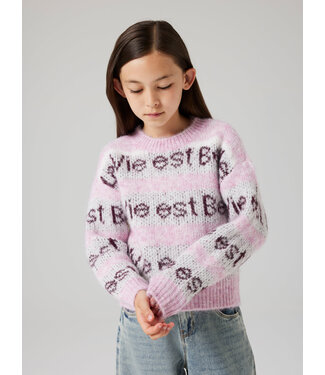 Name it Nummer 19 Kindertrui La vie est Belle