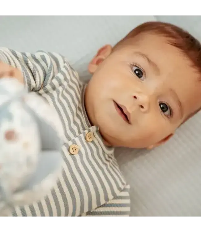 Little Dutch Shirt lange mouw - Blauw - Forest Friends - Stripe