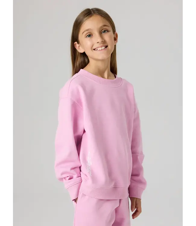 Name it NKFSHANEY SWEATER 13258108