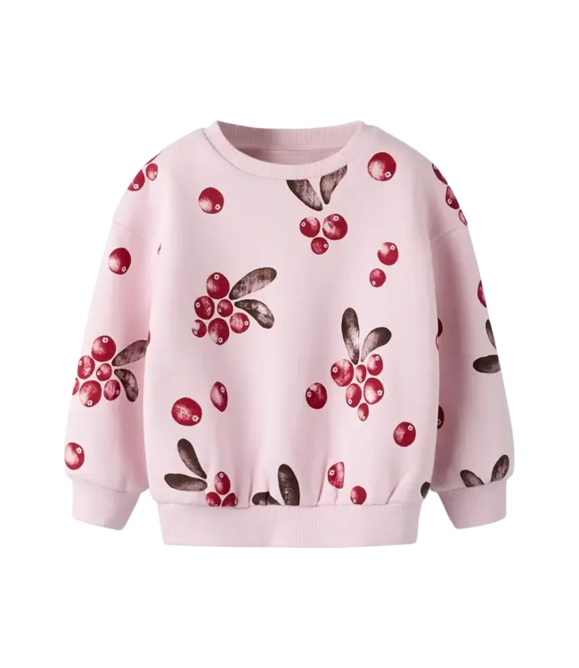 Name it mini 13258476 NMFSISSY sweater parfait pink