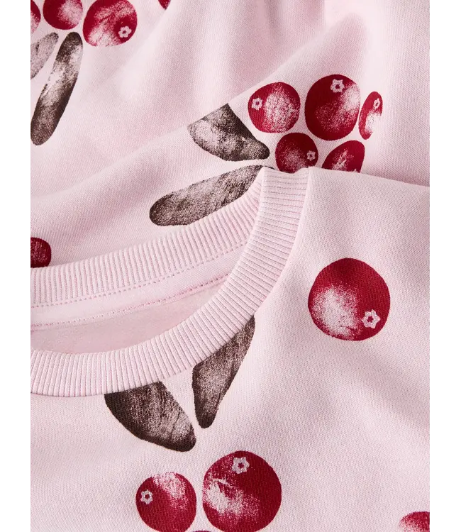 Name it mini 13258476 NMFSISSY sweater parfait pink