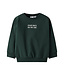 Name it mini 13250423 NMMSLADE LS NREG SWEAT BRU Pine Grove