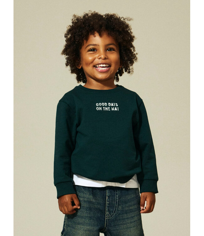 Name it mini 13250423 NMMSLADE LS NREG SWEAT BRU Pine Grove