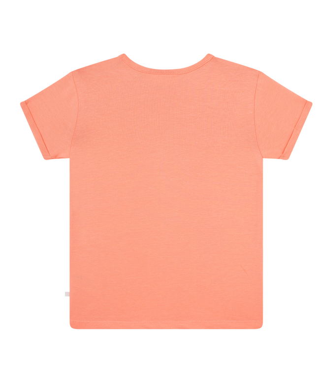 Someone SG02.261.100075 LOU-SG-02-B CORAL