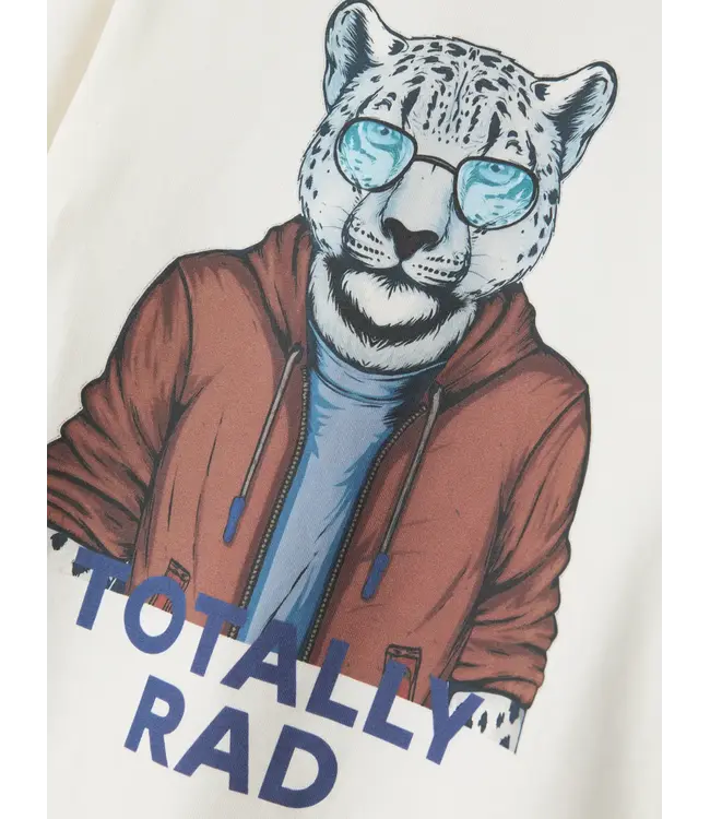 Name it mini NMMORION LS TOP 13247256 cloud dancer