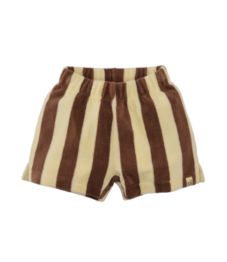 Z8 Pre order Sami Silly citron / Nutshell