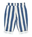 The New TNST6830 TNSTSilas Baggy Pants True Blue Striped