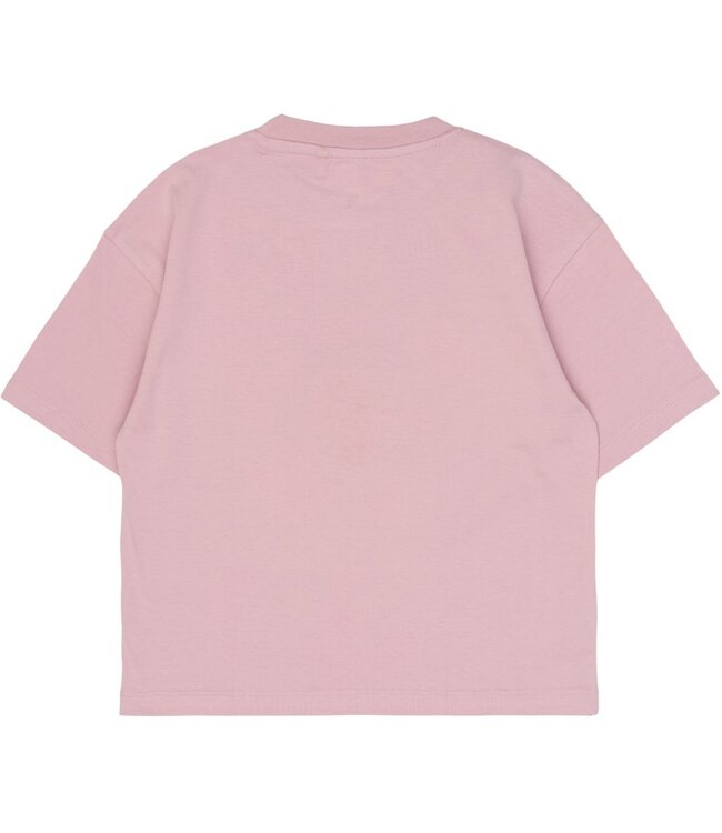 The New TN6733 TNShannet OS S_S Tee Silver Pink