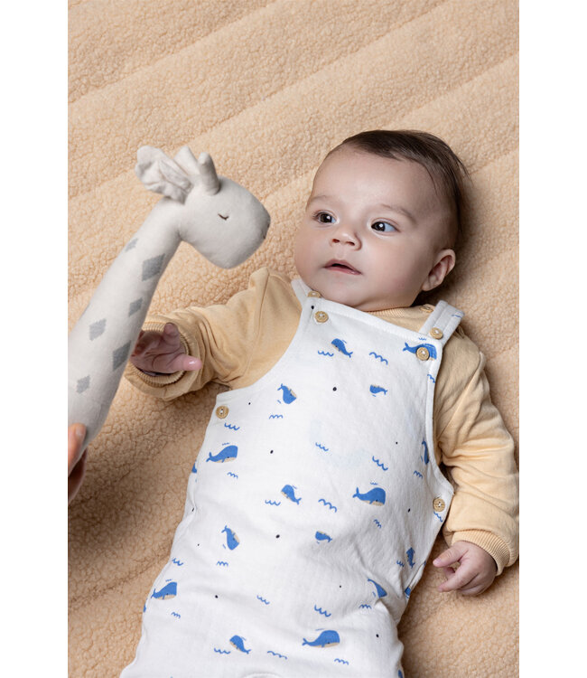 Petite Maison Silas double jersey dungaree E000-7012 aop blue whale