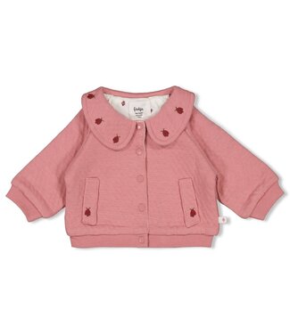 Feetje 51300546 Jasje - Ladybug Roze