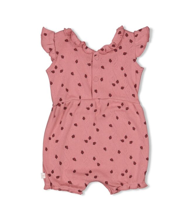 Feetje 51100100 Playsuit ajour rib AOP - Ladybug Roze