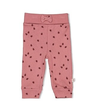 Feetje 52202482 Broek ajour rib AOP - Ladybug Roze