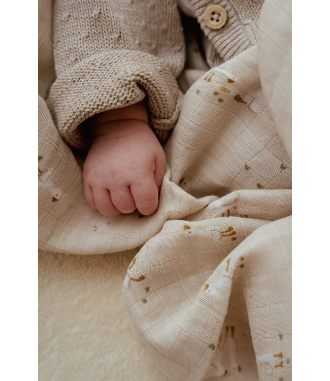 Little Dutch Swaddle doek hydrofiel 120x120 - Little Goose