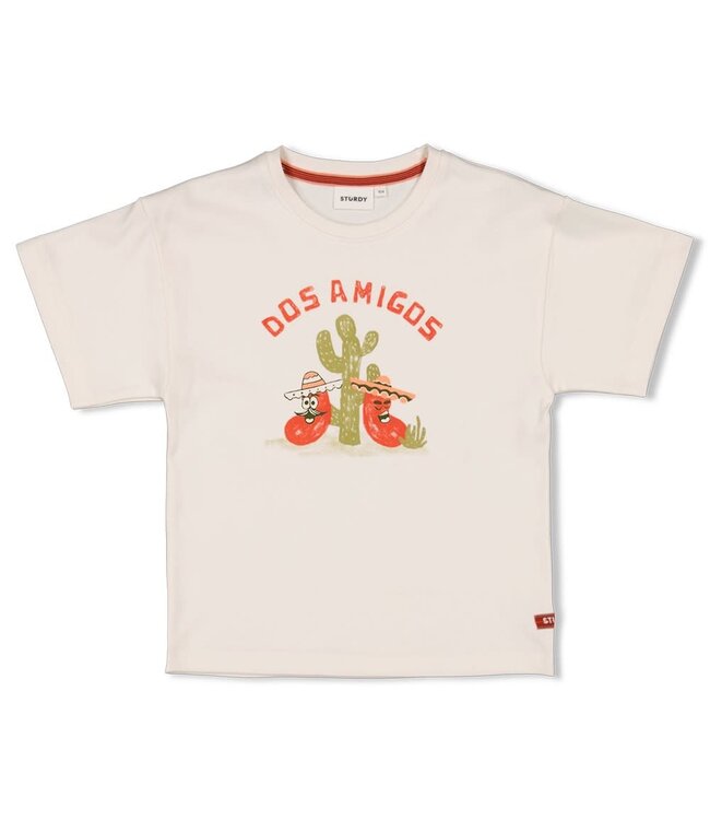 Sturdy 71700488 T-shirt oversized - Desert Fiesta