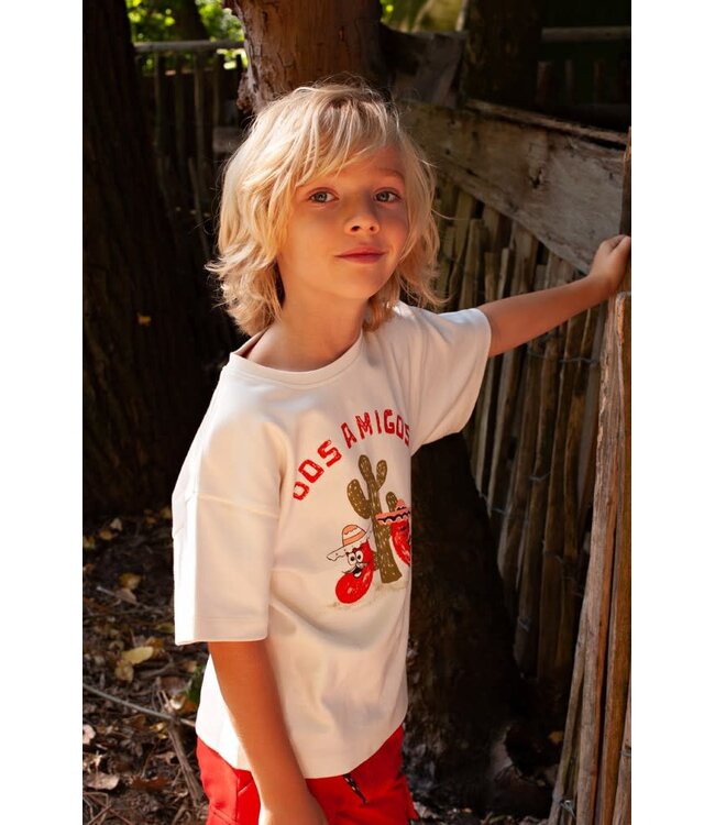 Sturdy 71700488 T-shirt oversized - Desert Fiesta